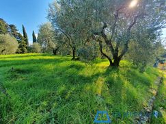 Terreno edificabile in Residenziale