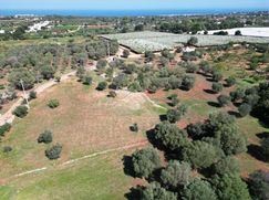 Terreno agricolo in Commerciale