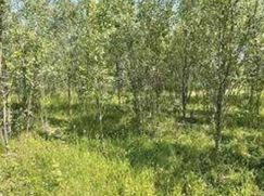 Terreno edificabile in Residenziale