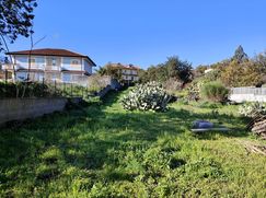 Terreno agricolo in Commerciale