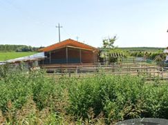 Casa indipendente in Residenziale