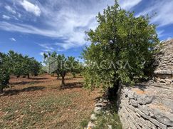 Rustico/Casale in Residenziale
