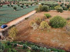 Terreno agricolo in Commerciale