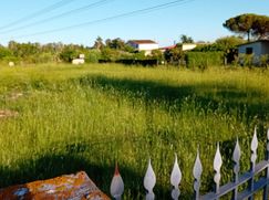 Terreno agricolo in Commerciale