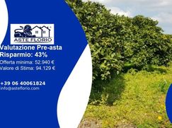 Terreno agricolo in Commerciale