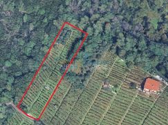 Terreno agricolo in Commerciale