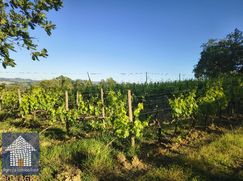 Terreno agricolo in Commerciale