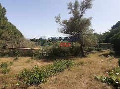 Terreno agricolo in Commerciale