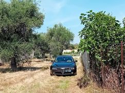 Terreno agricolo in Commerciale