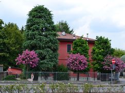 Villa in Residenziale