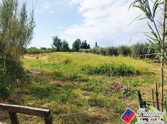 Terreno agricolo in Commerciale