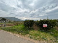 Terreno agricolo in Commerciale