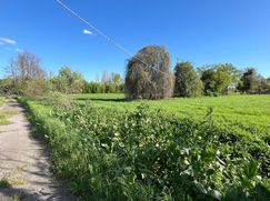 Terreno agricolo in Commerciale
