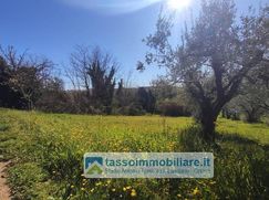 Rustico/Casale in Residenziale