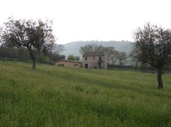 Rustico/Casale in Residenziale