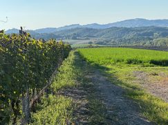 Rustico/Casale in Residenziale