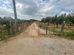 Terreno agricolo in Commerciale