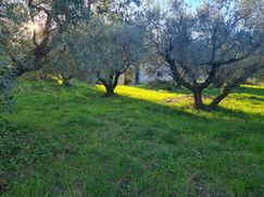 Rustico/Casale in Residenziale