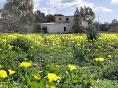 Rustico/Casale in Residenziale