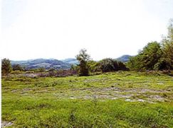 Terreno edificabile in Residenziale
