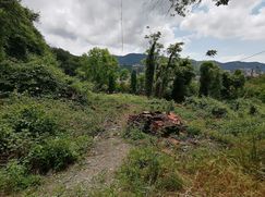 Terreno agricolo in Commerciale