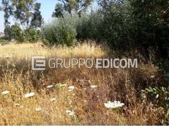 Terreno agricolo in Commerciale