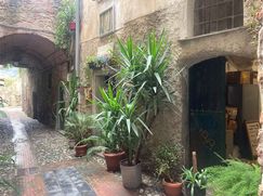 Cantina/Solaio in Residenziale