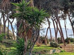 Appartamento in Vacanze