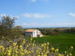 Rustico/Casale in Residenziale