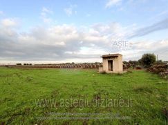 Terreno agricolo in Commerciale