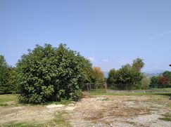 Terreno edificabile in Residenziale