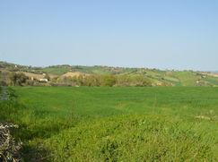 Terreno edificabile in Residenziale