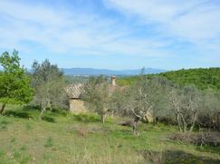Rustico/Casale in Residenziale