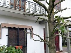 Casa Bi/Trifamiliare in Residenziale