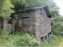 Rustico/Casale in Residenziale