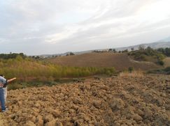 Terreno edificabile in Residenziale