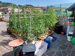 Casa indipendente in Residenziale