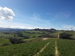 Rustico/Casale in Residenziale
