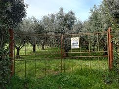 Terreno agricolo in Commerciale