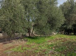 Terreno edificabile in Residenziale