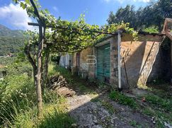 Terreno agricolo in Commerciale
