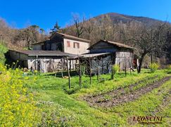 Rustico/Casale in Residenziale