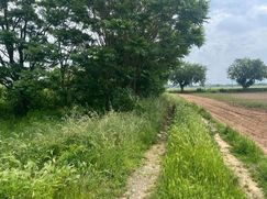 Terreno edificabile in Residenziale