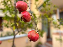 Villetta a schiera in Residenziale