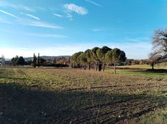 Terreno edificabile in Residenziale