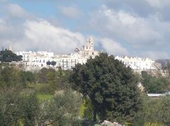 Terreno edificabile in Residenziale