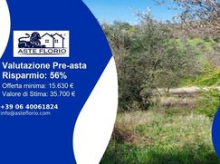 Terreno agricolo in Commerciale