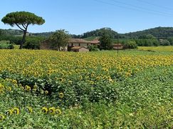 Rustico/Casale in Residenziale
