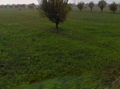 Terreno agricolo in Commerciale