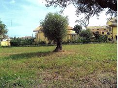 Terreno edificabile in Residenziale